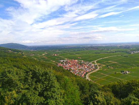 Auf dem Höhenweg zur Madenburg 2019